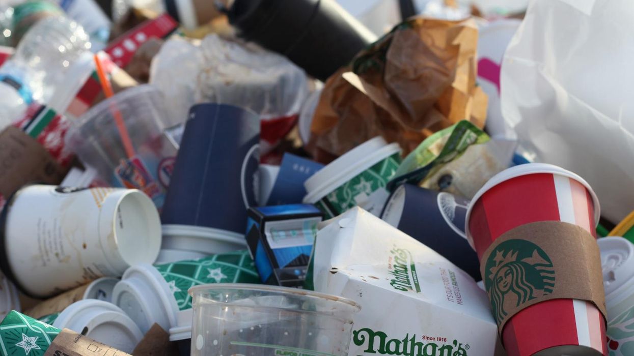 obesogens food packaging