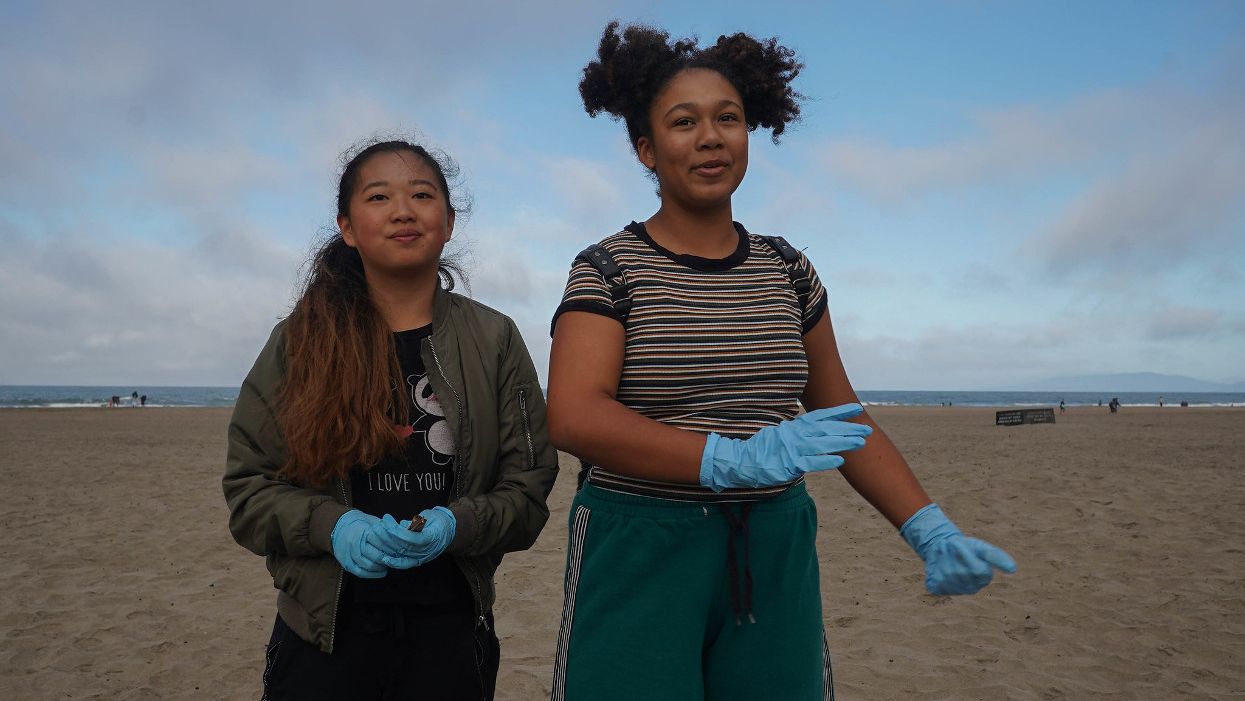 ocean cleanup plastic