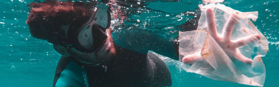 Ocean plastic toxics