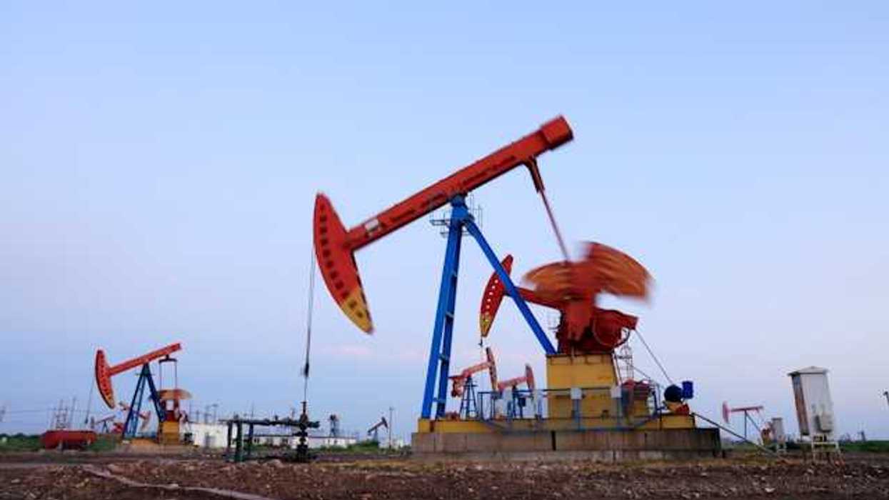 Oil pump jacks drilling for oil in a field