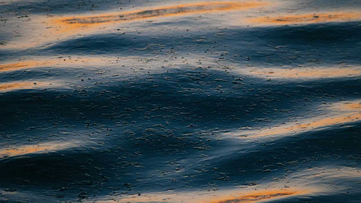 Oil spill on water in evening light.