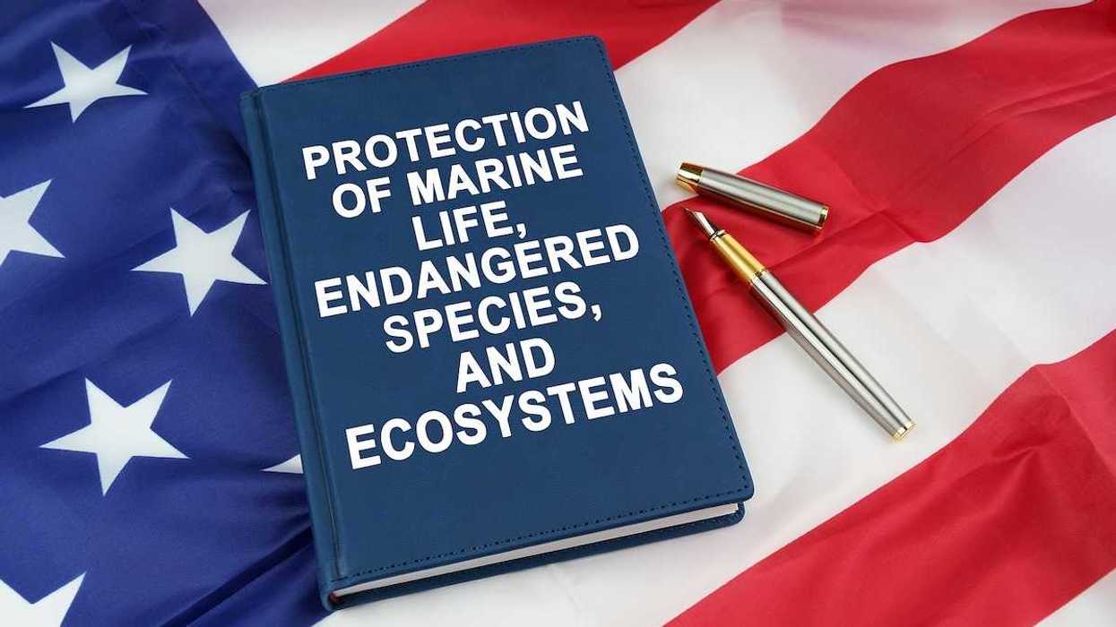 On the US flag lies a pen and a book with the inscription - PROTECTION OF MARINE LIFE, ENDANGERED SPECIES, AND ECOSYSTEMS