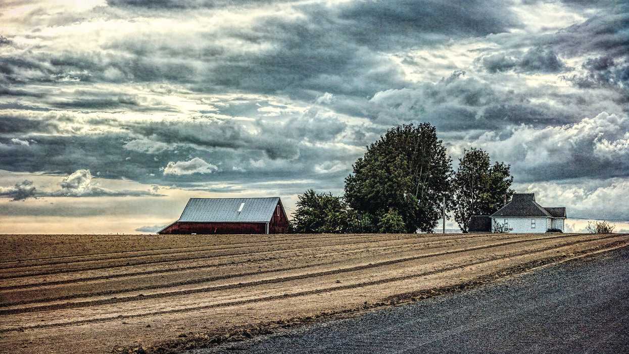 Opinion: Right-to-Farm laws run counter to rural culture and property rights