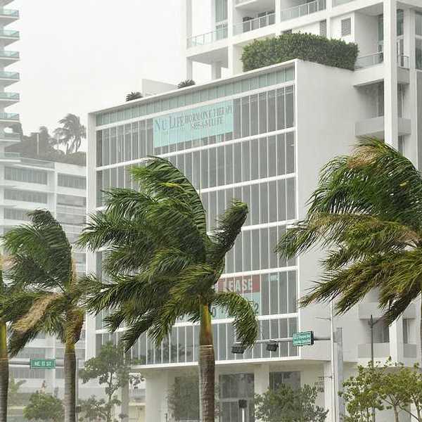 Palm trees in front of tall buildings blowing in hurricane gales