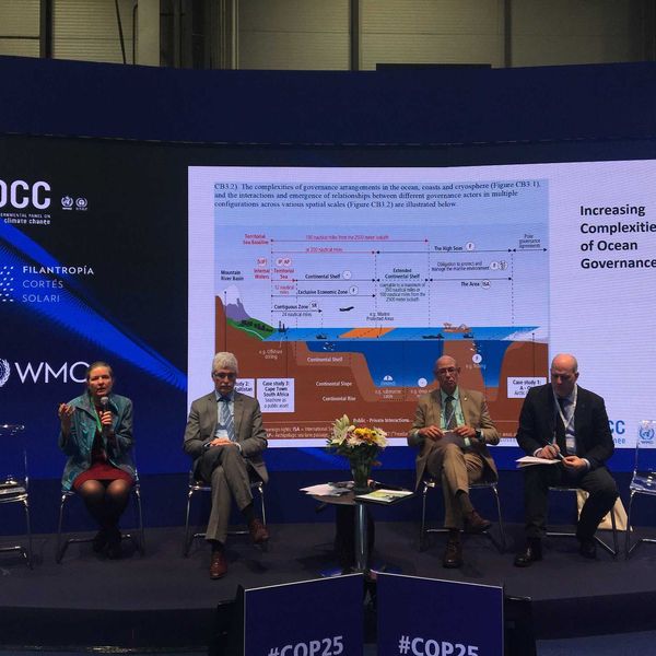 Panel of climate scientists onstage at COP25 Q & A