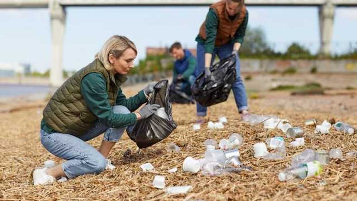 People on a beach cleaning up plastic waste