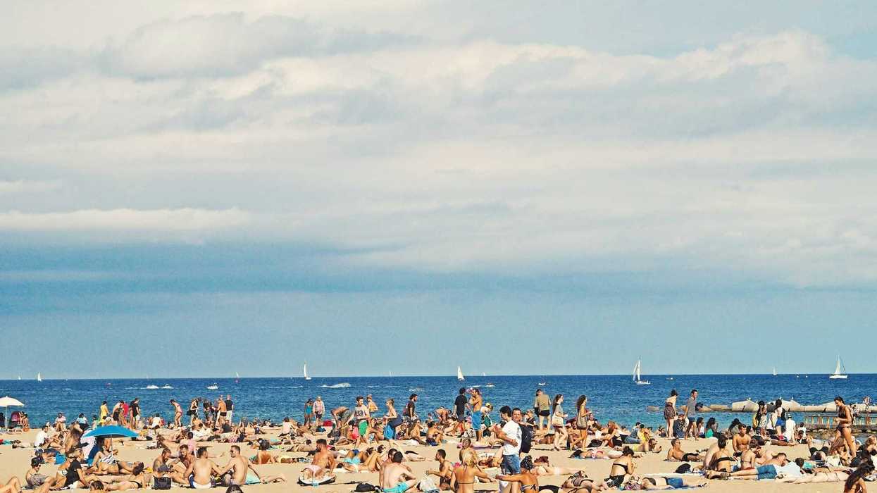 people on brown sand beach with sea in background.