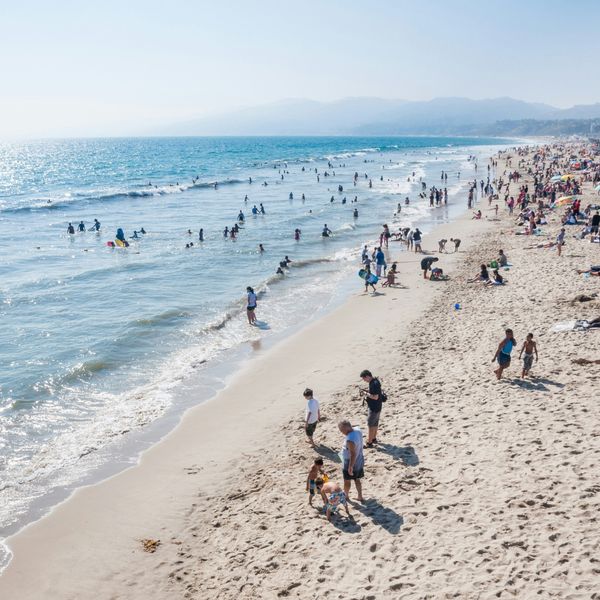 people standing on seashore.