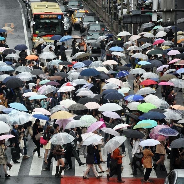 Earth now has 8 billion people—and counting. Where do we go from here?