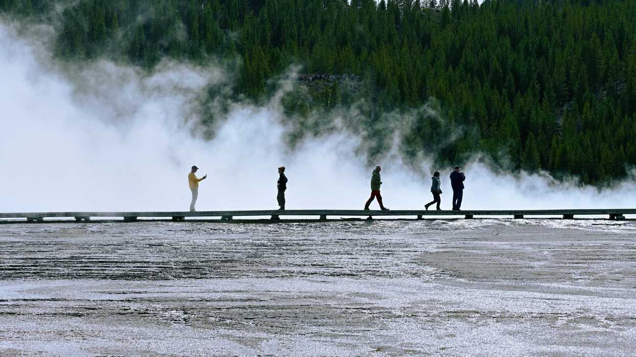 People walking on a wooden boardwalk through steaming hot springs near a dense pine forest.