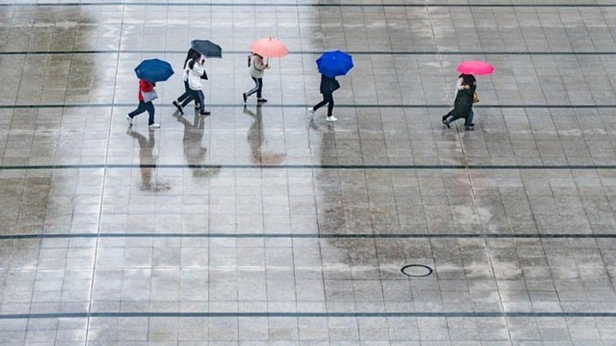 people walking with umbrellas