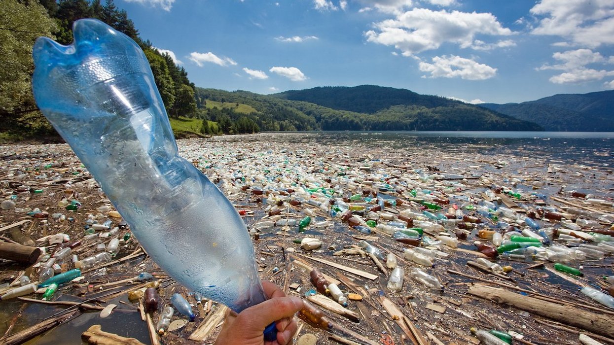 person holding a plastic bottle near shoreline full of other plastic bottles