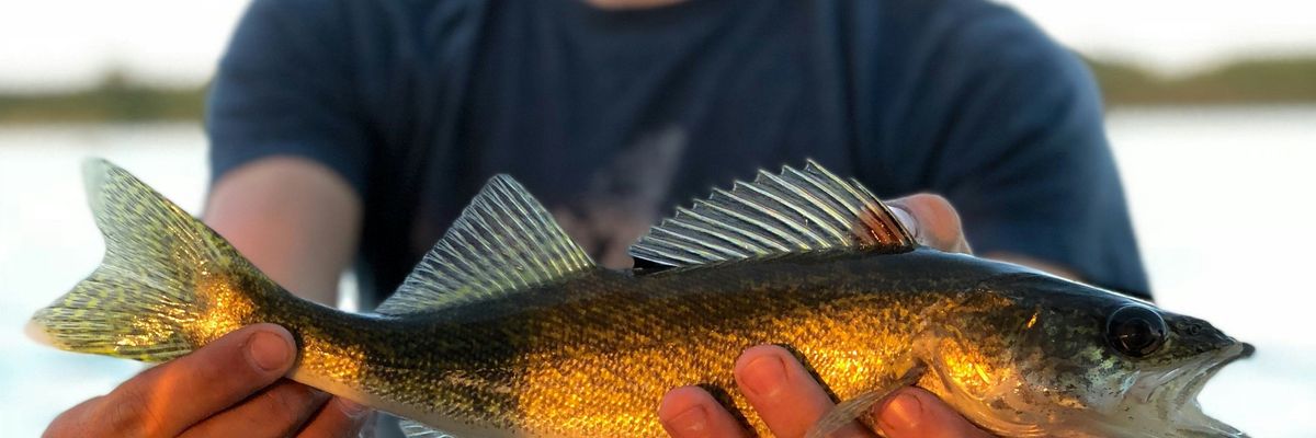person holding gray fish.