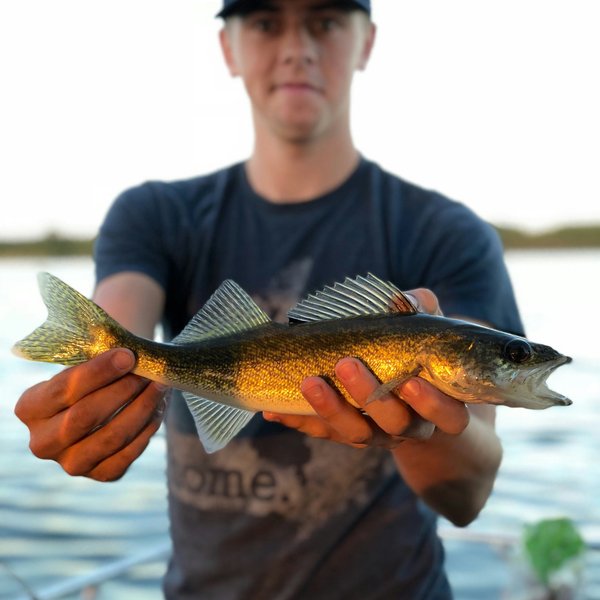 person holding gray fish.