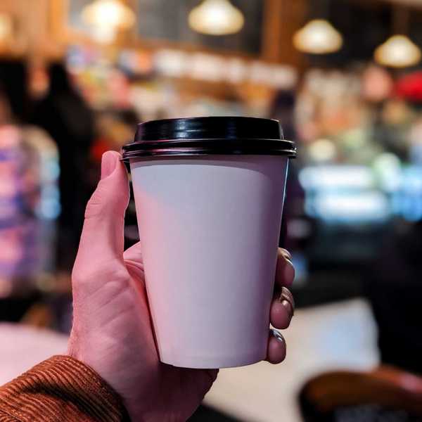 person holding white and black disposable cup.