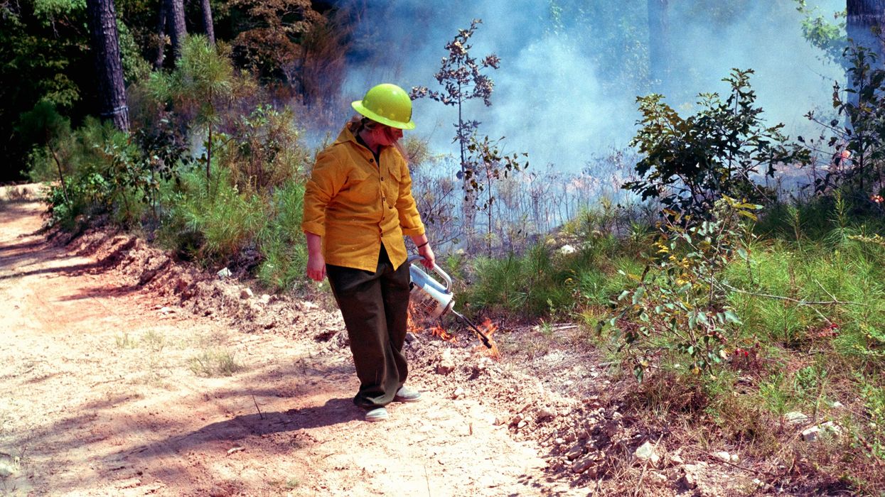 Person in yellow shirt starts controlled forest fire