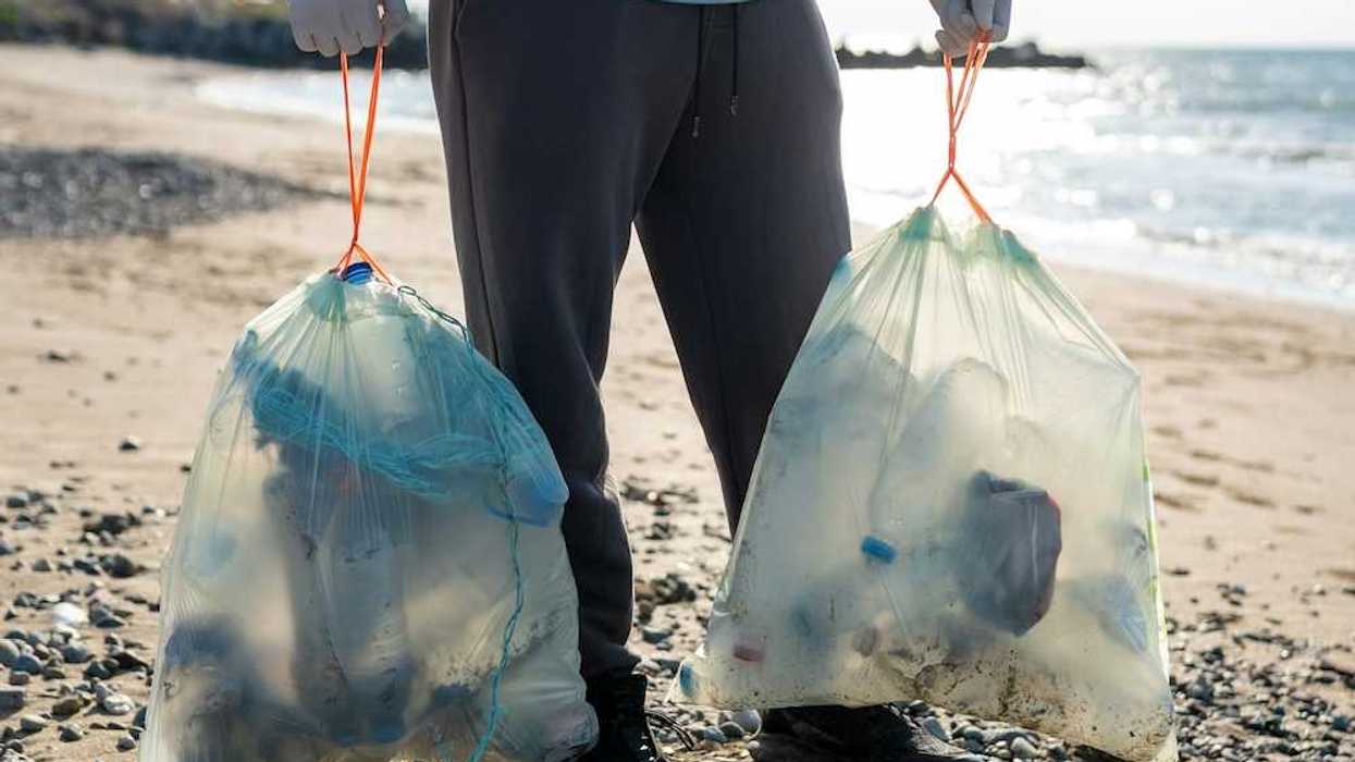 Person on a lakeshore carrying two plastic bags containing collected waste