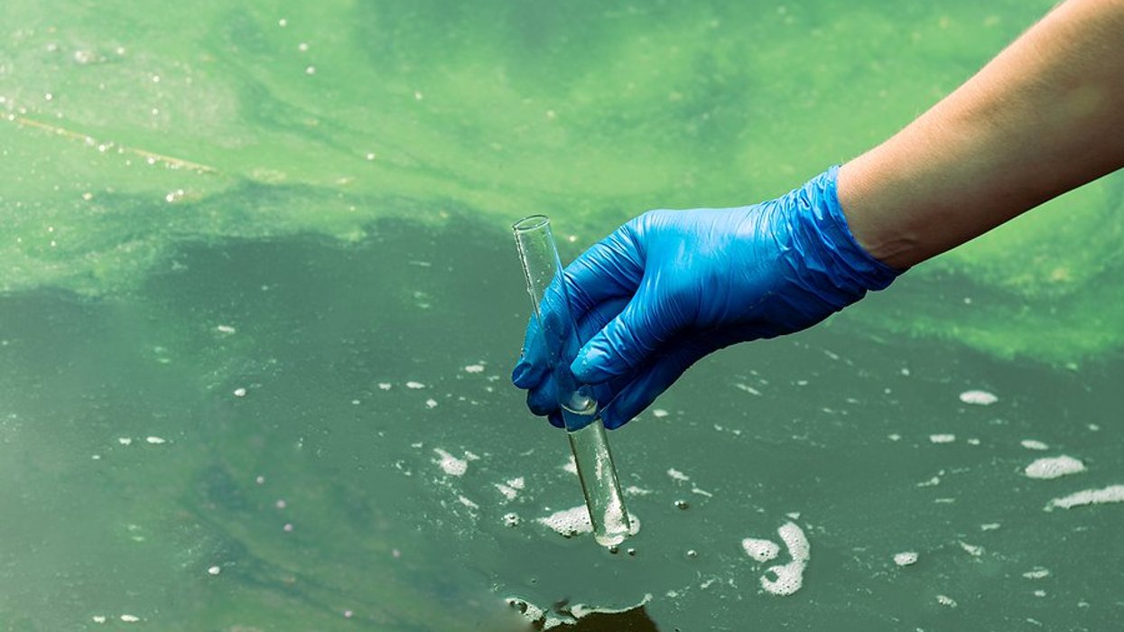 person sampling water