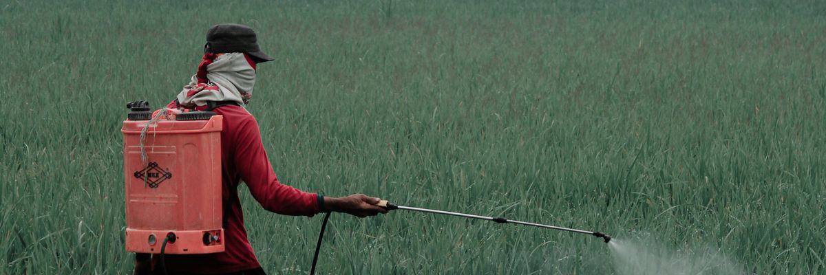 person spraying a field