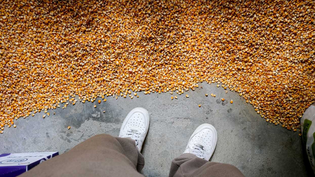 Person standing in a large pile of corn kernels