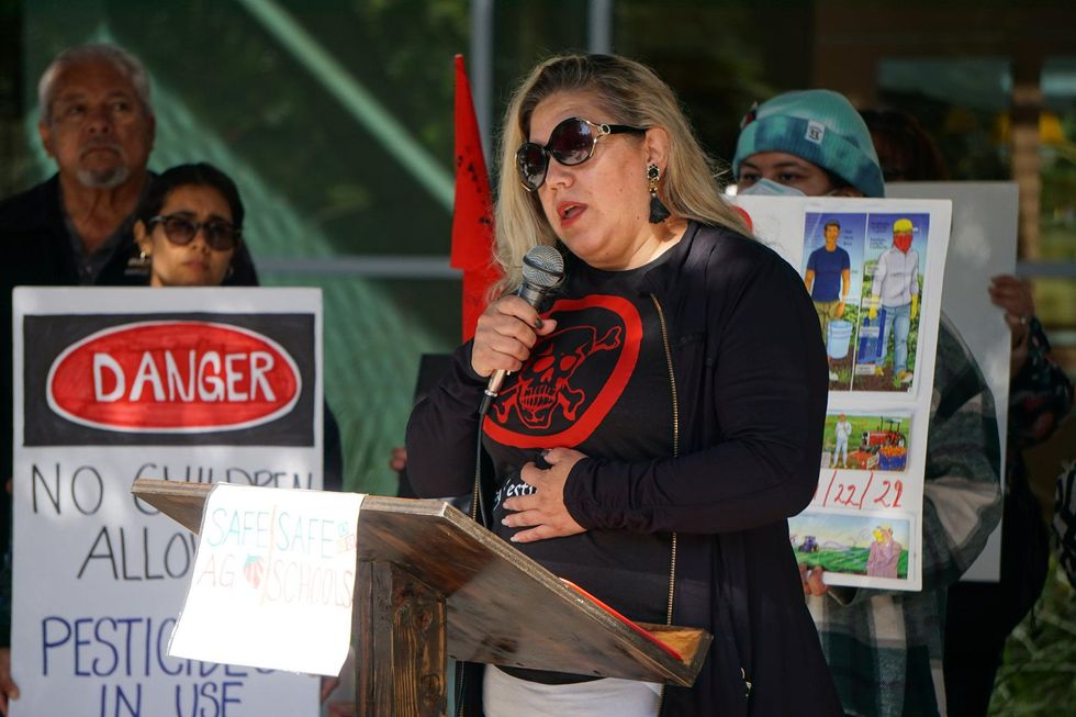 pesticide activism pesticidas activismo