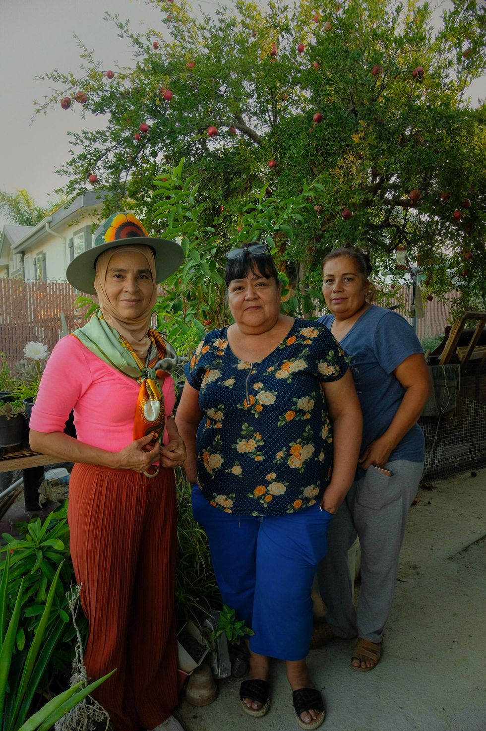 pesticide activists pesticidas activistas