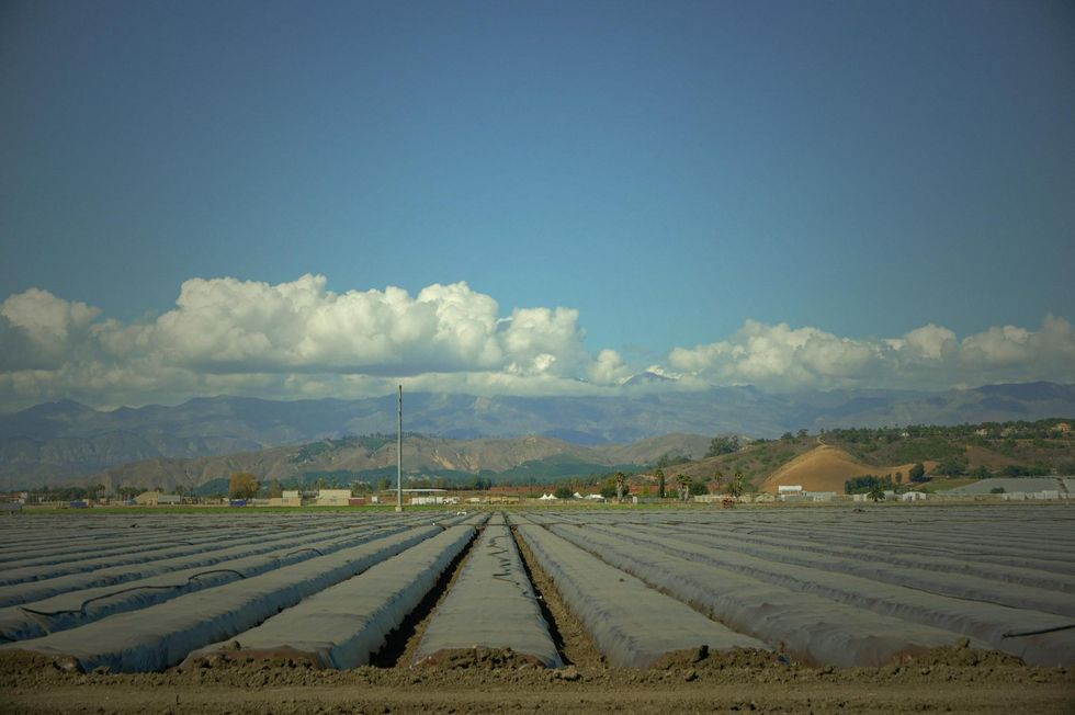 pesticide drift pesticidas contaminaci\u00f3n campo agricultura california