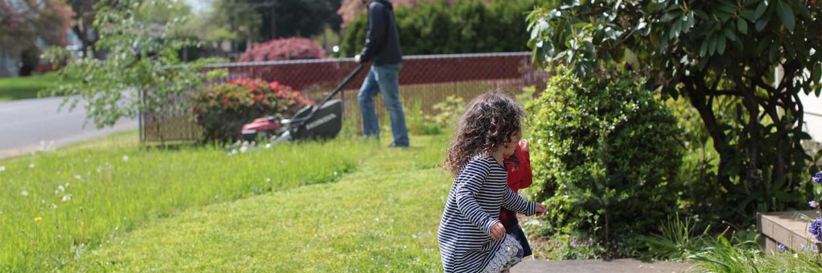 pesticide free lawn care