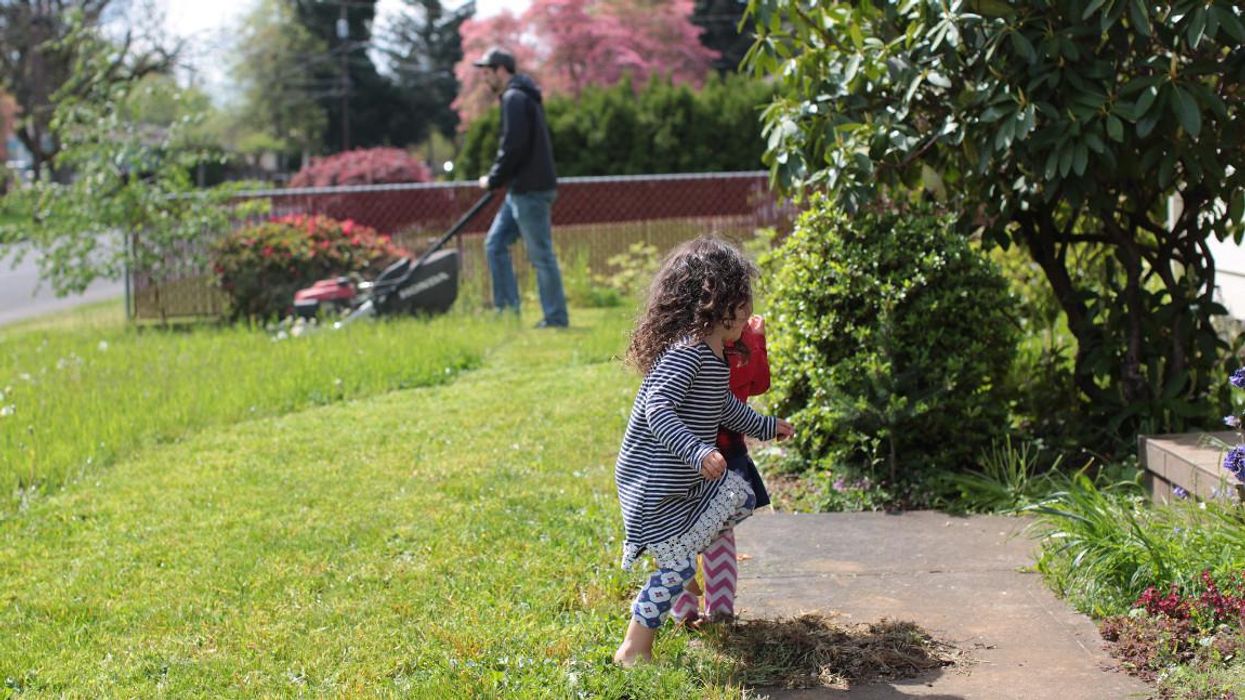 pesticide free lawn care