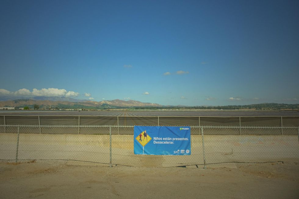 pesticide health pesticidas salud