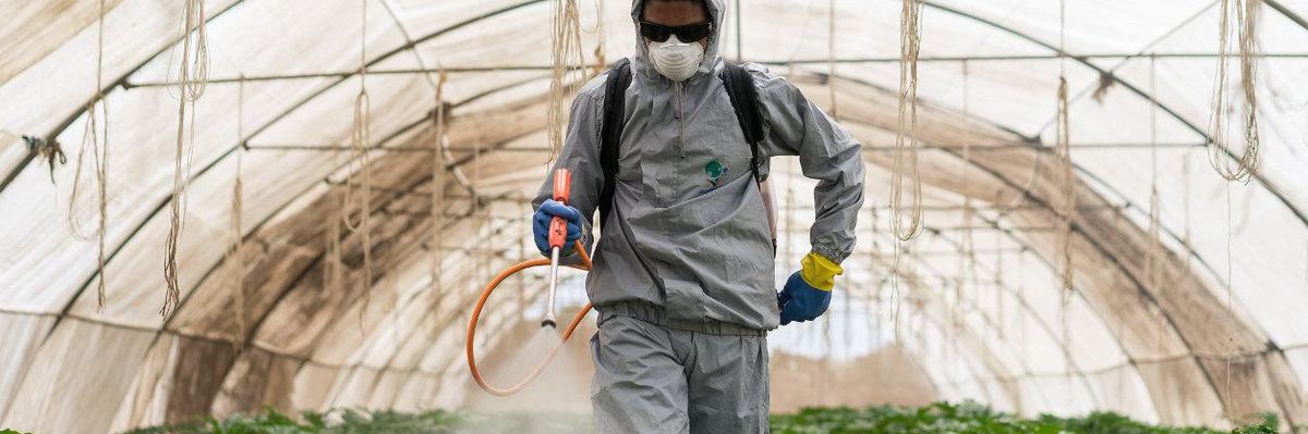 pesticide spray