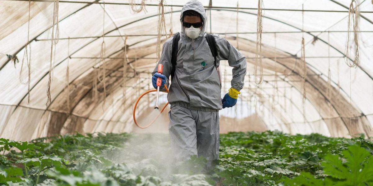 pesticide spray