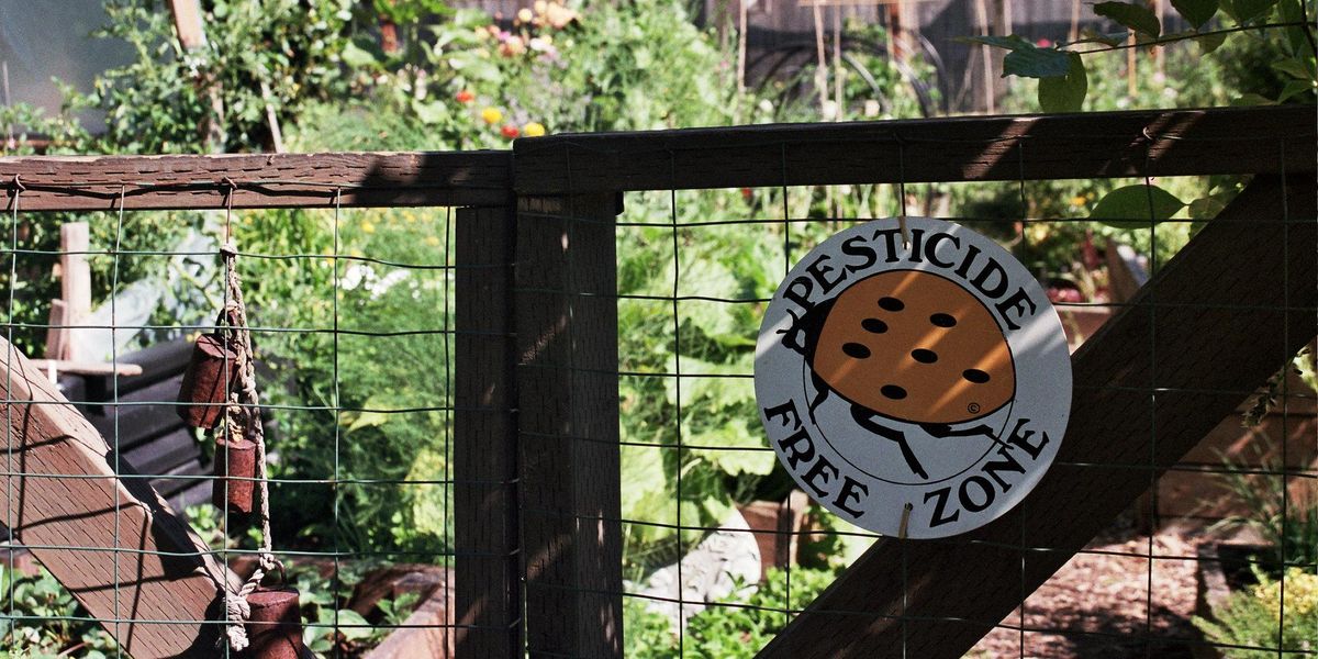 pesticides breast cancer