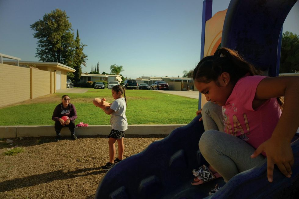 pesticides children health pesticidas salud infantil