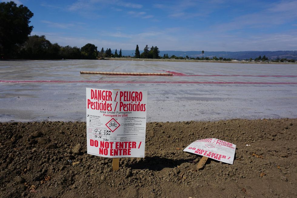 pesticides health pesticidas salud