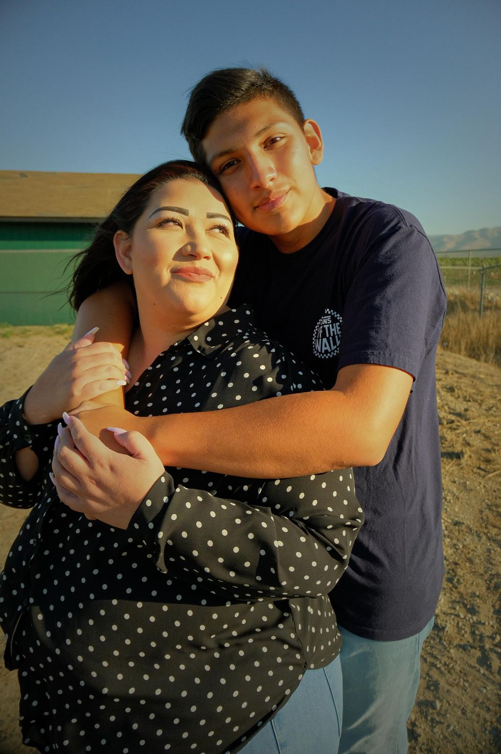 Pesticides pesticidas california