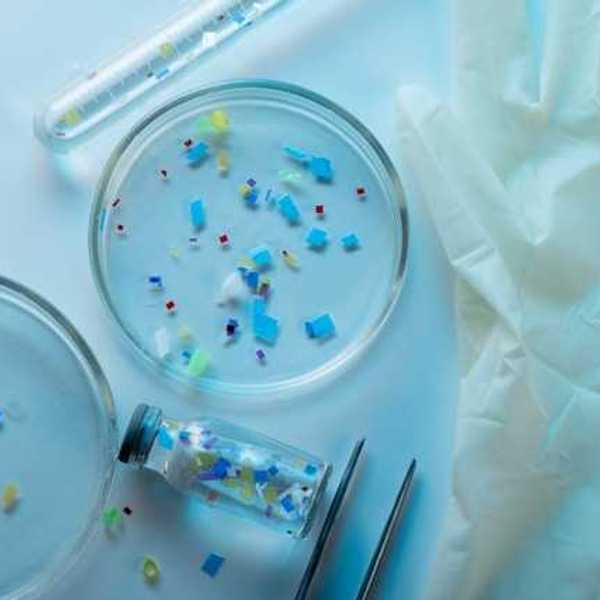 Petri dishes and various lab containers filled with microplastics and a disposable latex glove