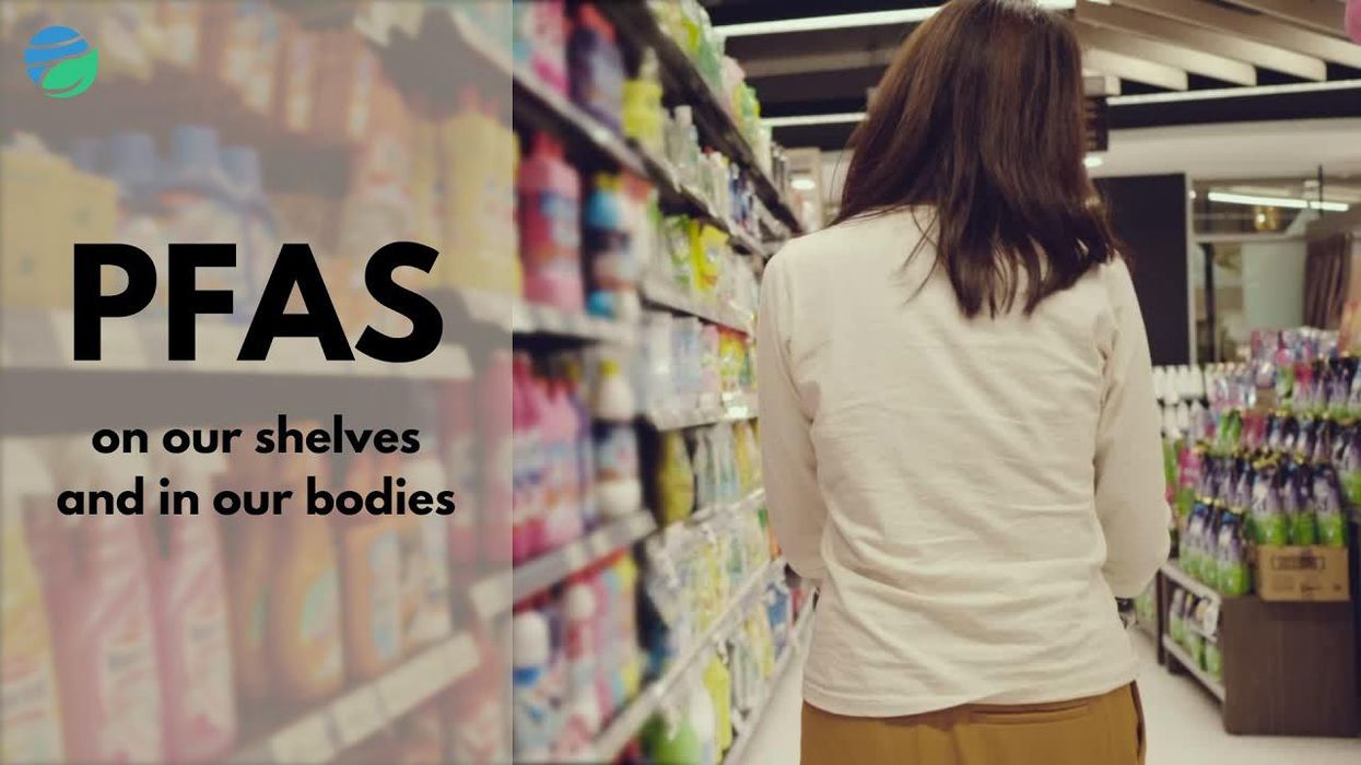 WATCH: PFAS "forever chemicals" on our shelves and in our bodies