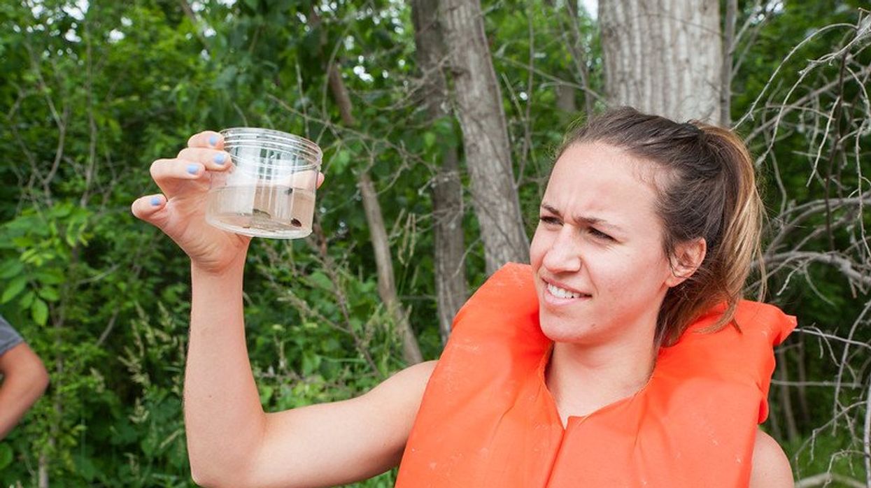 PFAS in aquatic ecosystems