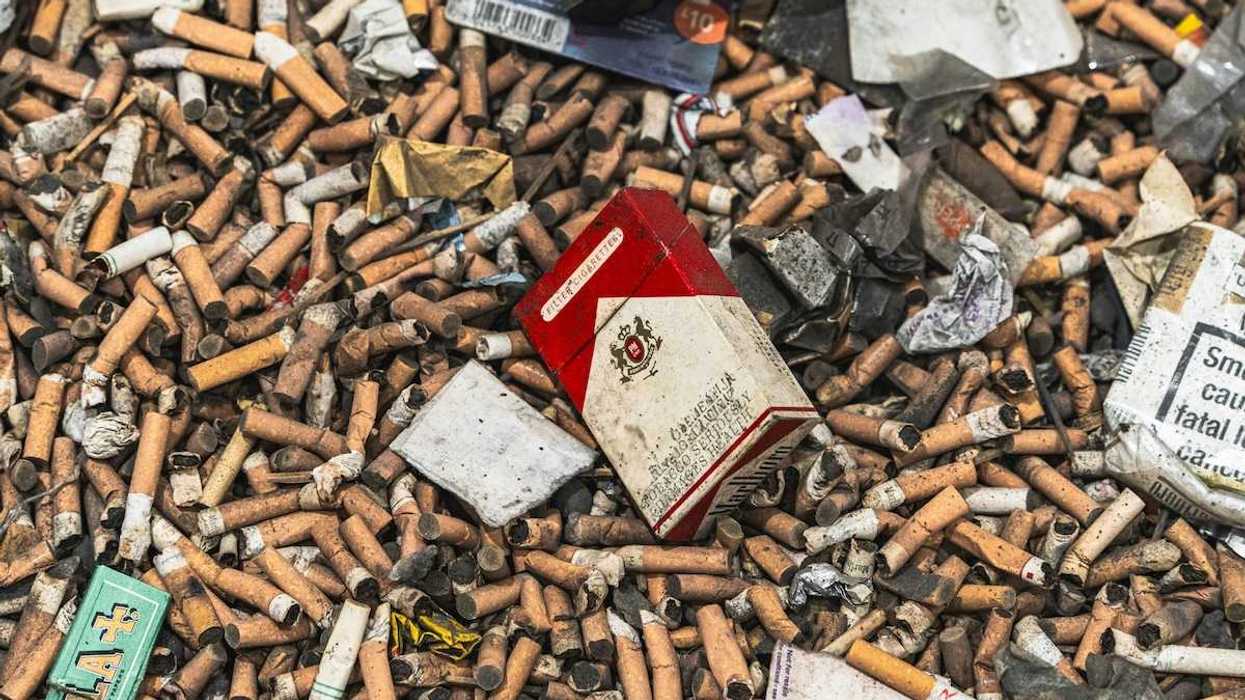 Pile of cigarette butts interspersed with other cigarette smoking waste