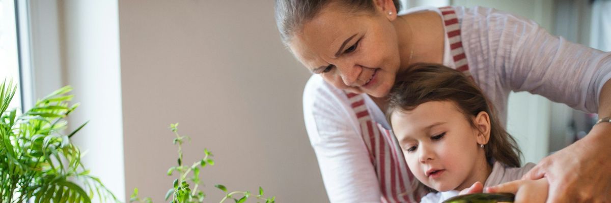 planetary health diet