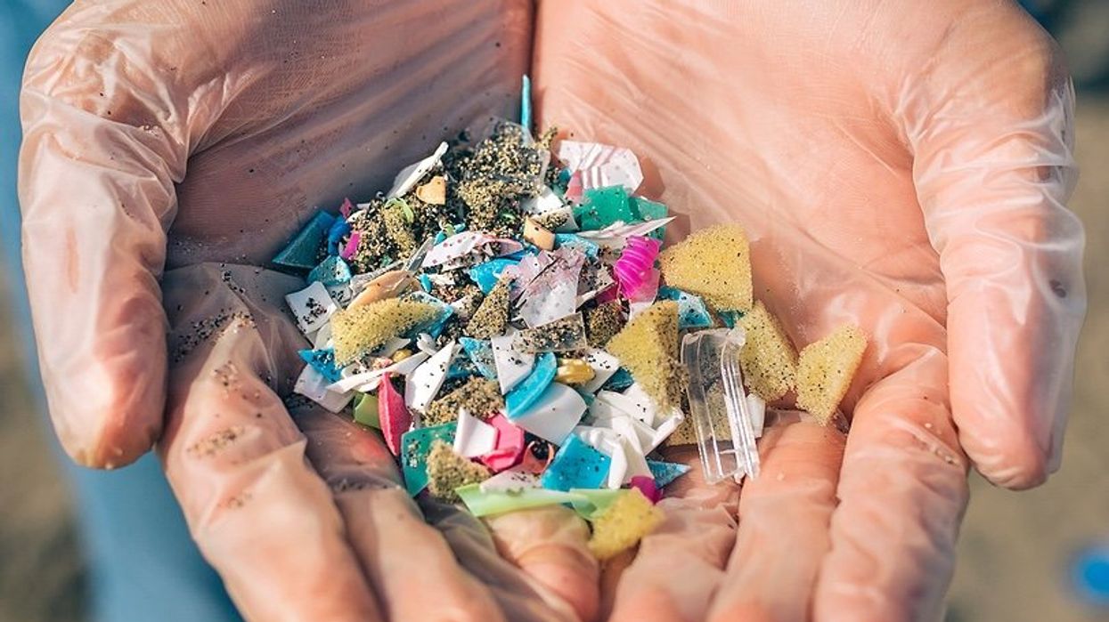Plastic and microplastics held in plastic gloved hands