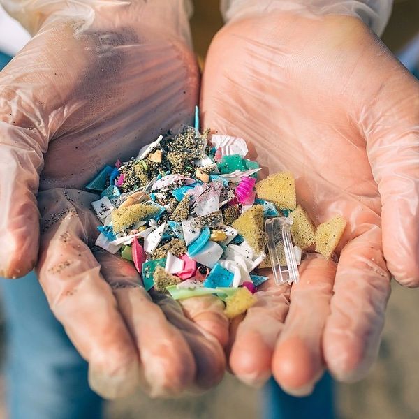 Plastic and microplastics held in plastic gloved hands
