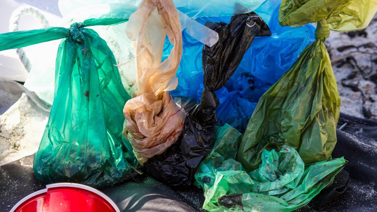 plastic bags in a bin