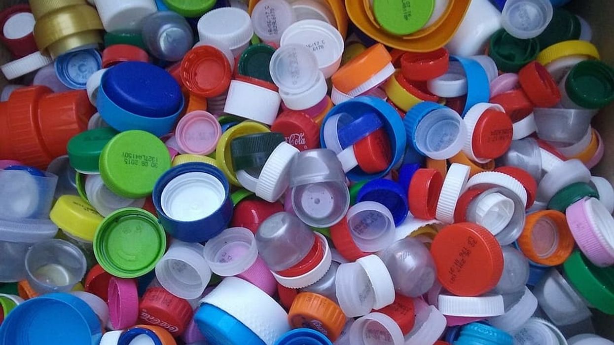 Plastic bottle caps, which commonly contain BPA