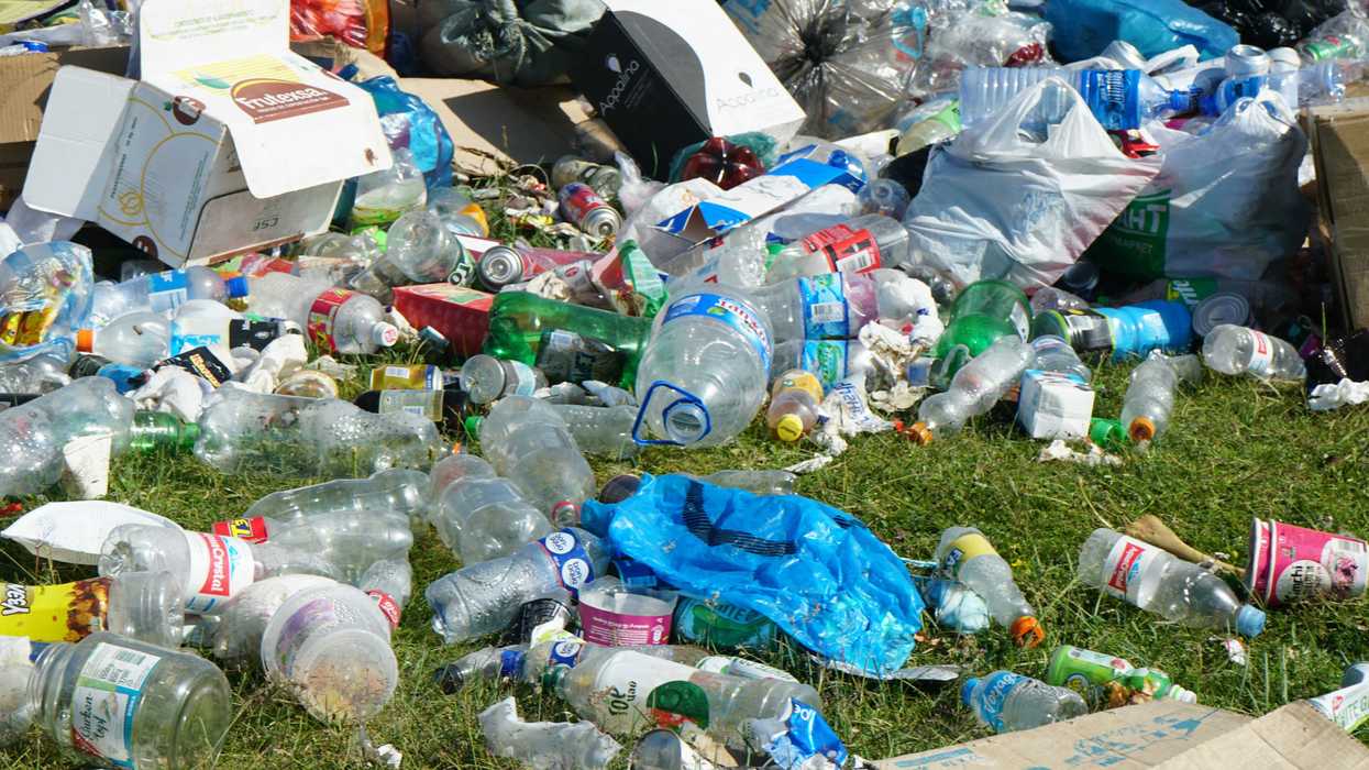Plastic bottle spilled on green grass field.