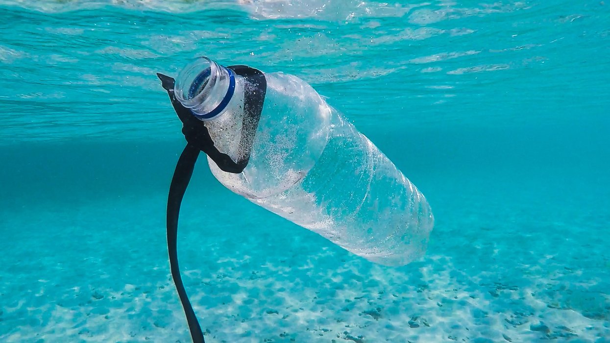 plastic bottle underwater