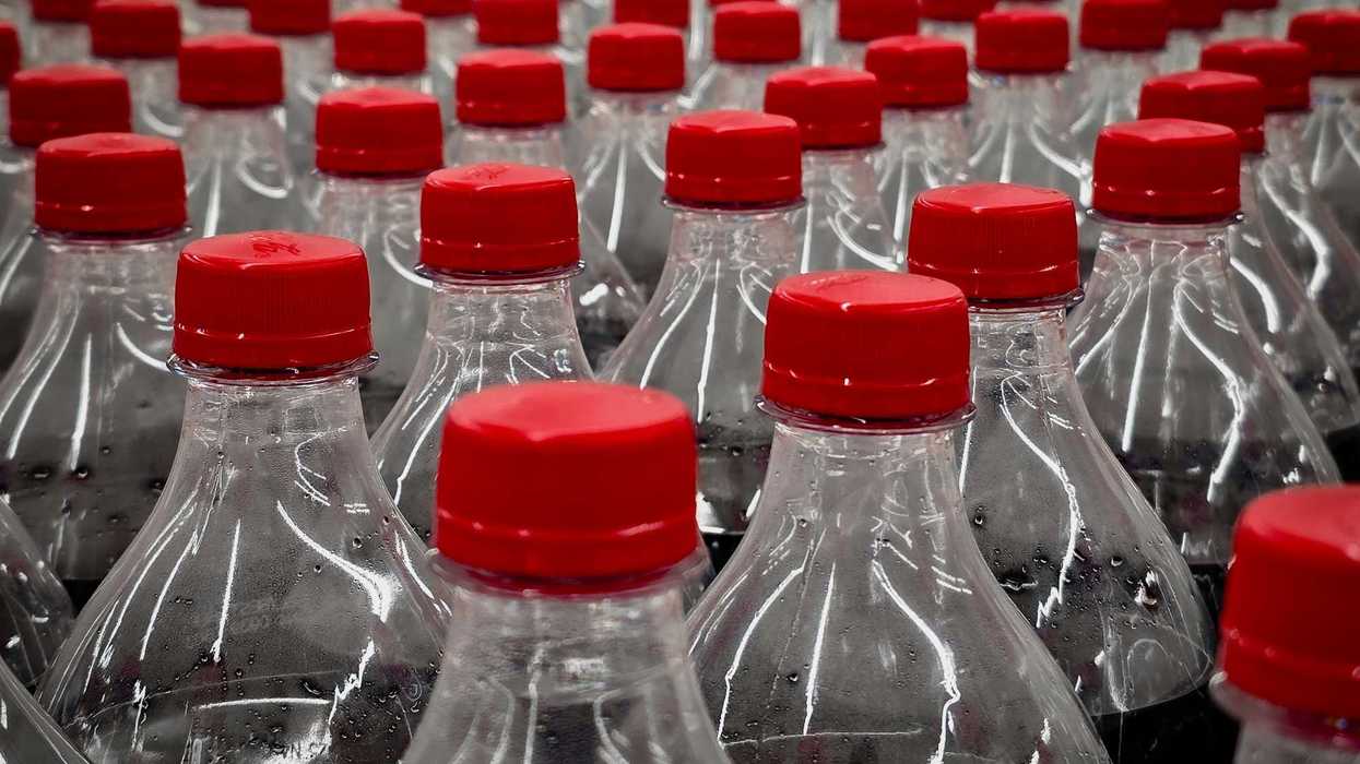 Plastic bottles of soda are lined up with red lids.