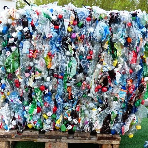 plastic bottles that have been flattened for recycling