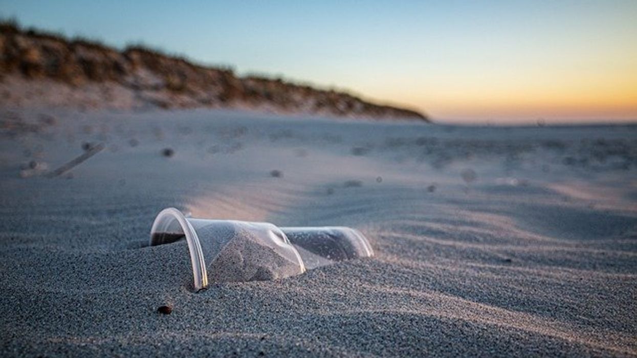 plastic cup buried in sand